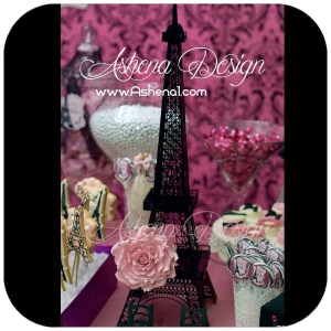 برج ایفل پاریس(paris)